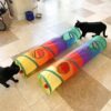 Túnel Interativo para Gatos e Cães de Estimação – Multicolorido - Image 5