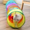 Túnel Interativo para Gatos e Cães de Estimação – Multicolorido - Image 2
