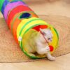 Túnel Interativo para Gatos e Cães de Estimação – Multicolorido - Image 6