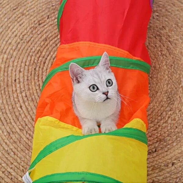 Túnel Interativo para Gatos e Cães de Estimação – Multicolorido - Image 7